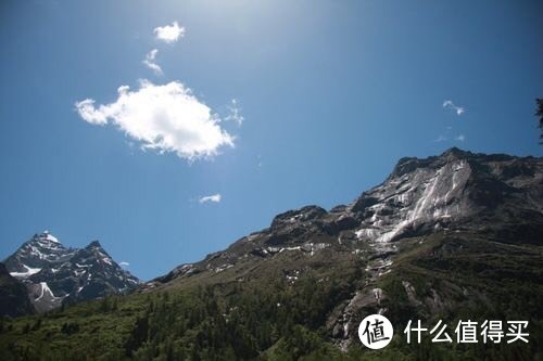 环保型猫砂研究：探讨新型环保猫砂材料及其优缺点